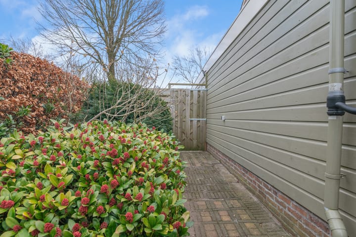 Foto 50 van Valeriaan 74