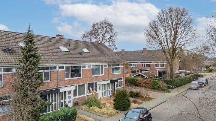 Foto 53 van Valeriaan 74