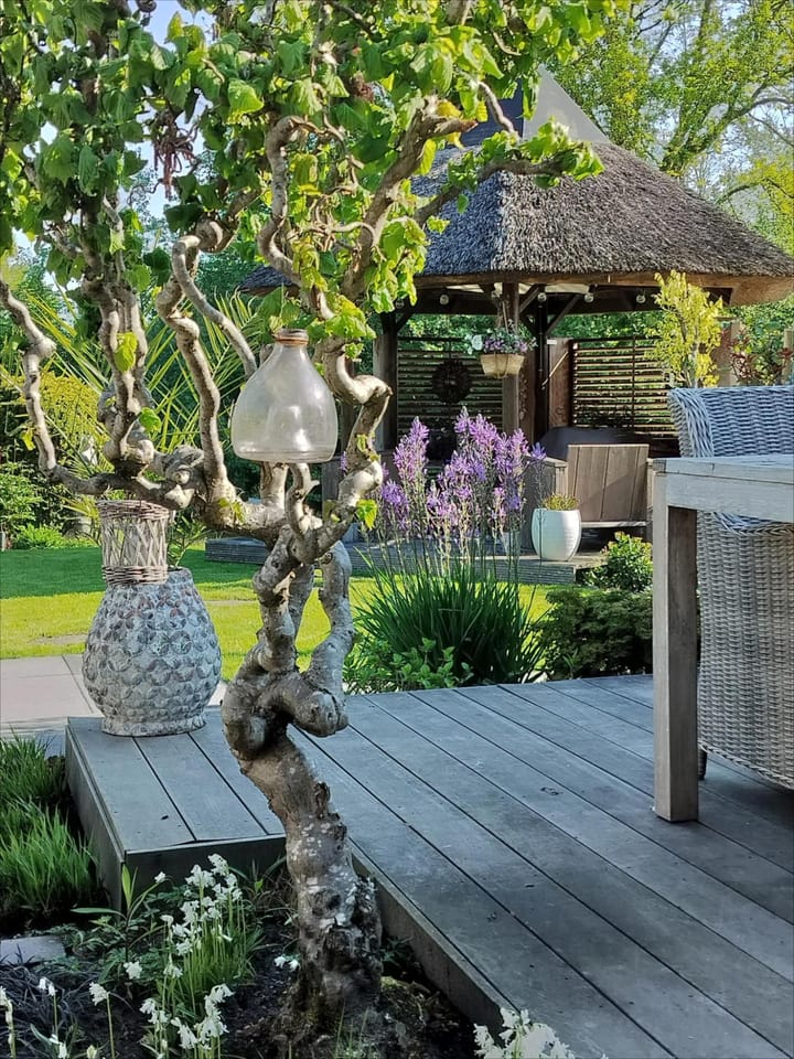 Foto 47 van Gersteland 56