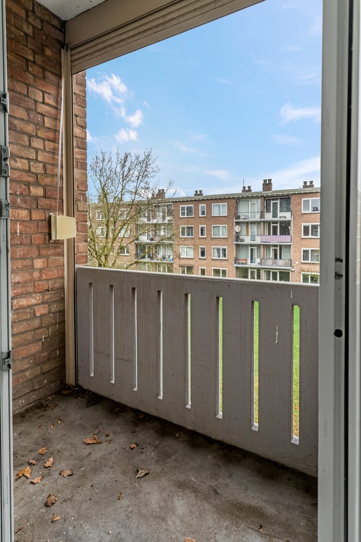 Foto 18 van Koolwitjeshof 3