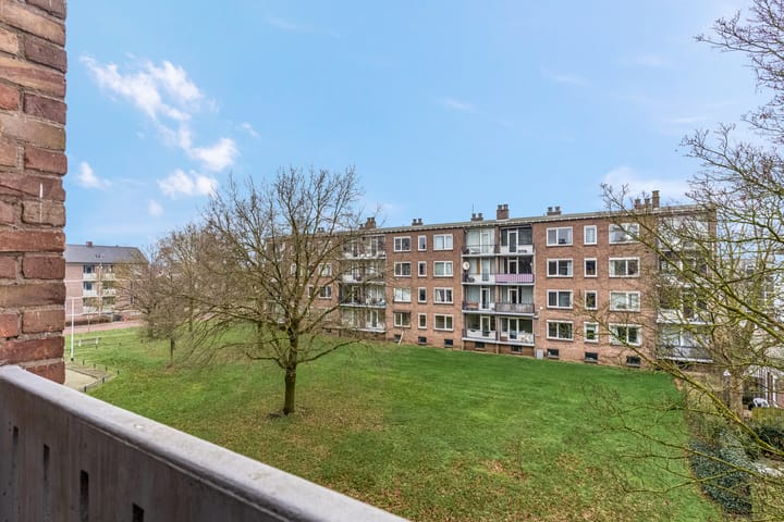 Foto 19 van Koolwitjeshof 3