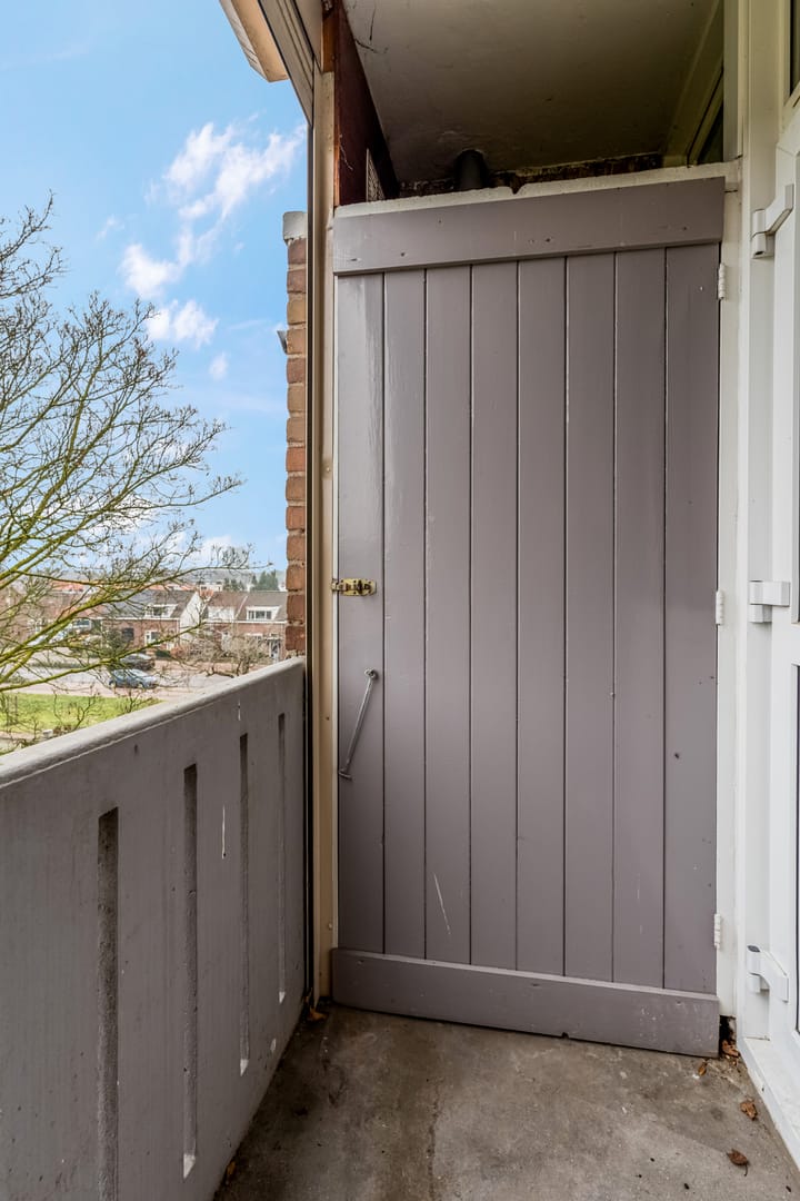 Foto 20 van Koolwitjeshof 3