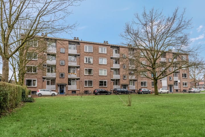 Foto 27 van Koolwitjeshof 3