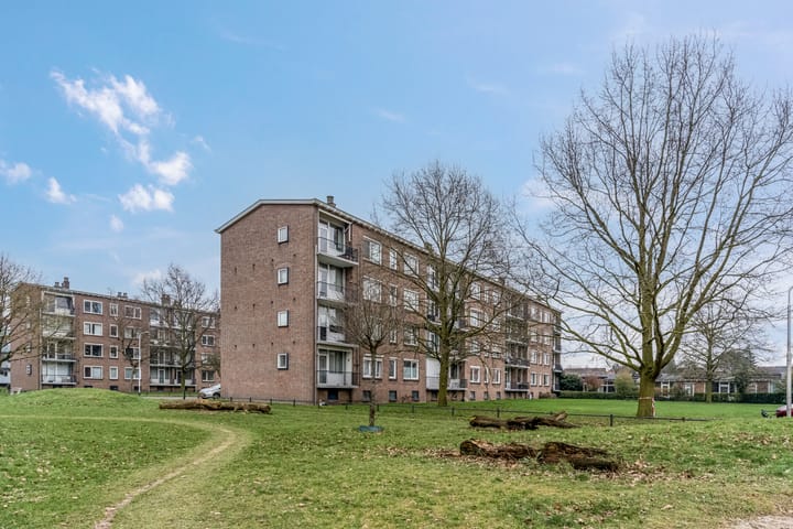 Foto 28 van Koolwitjeshof 3