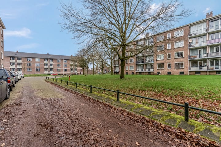 Foto 29 van Koolwitjeshof 3