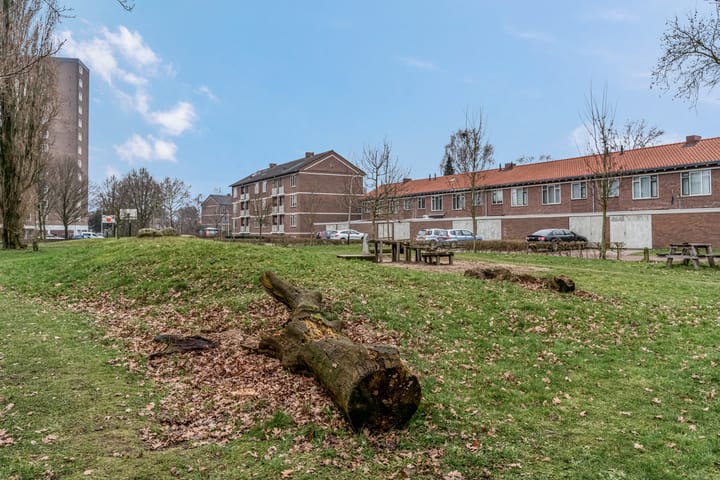 Foto 30 van Koolwitjeshof 3