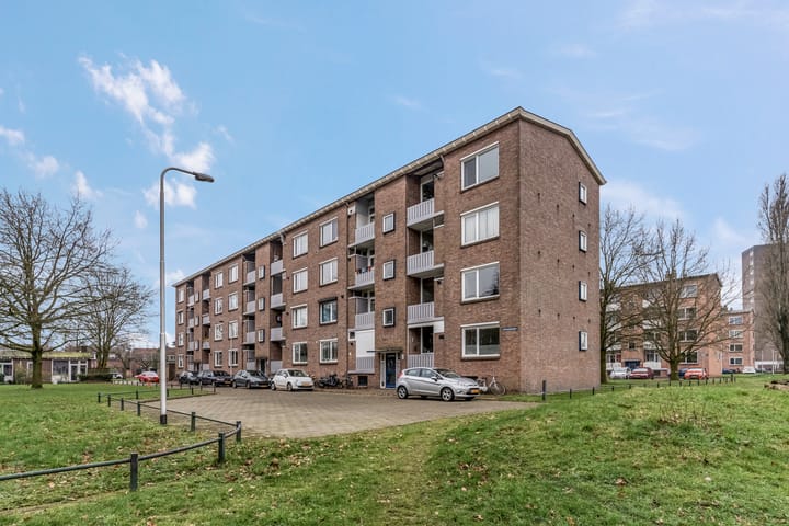 Foto 31 van Koolwitjeshof 3