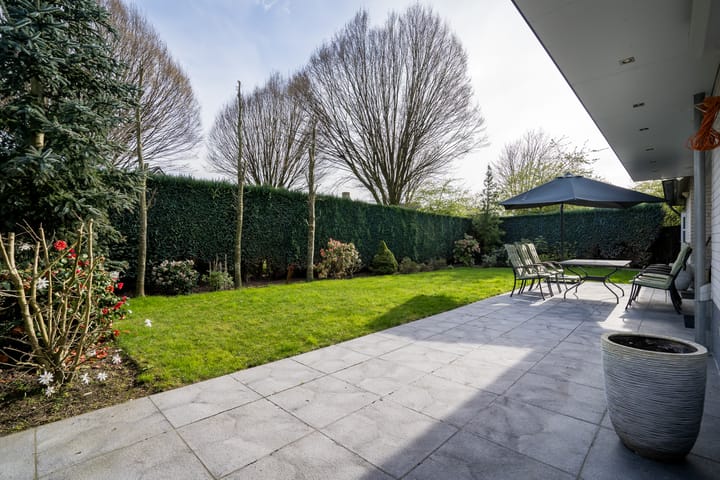 Foto 41 van Standaardmolen 54