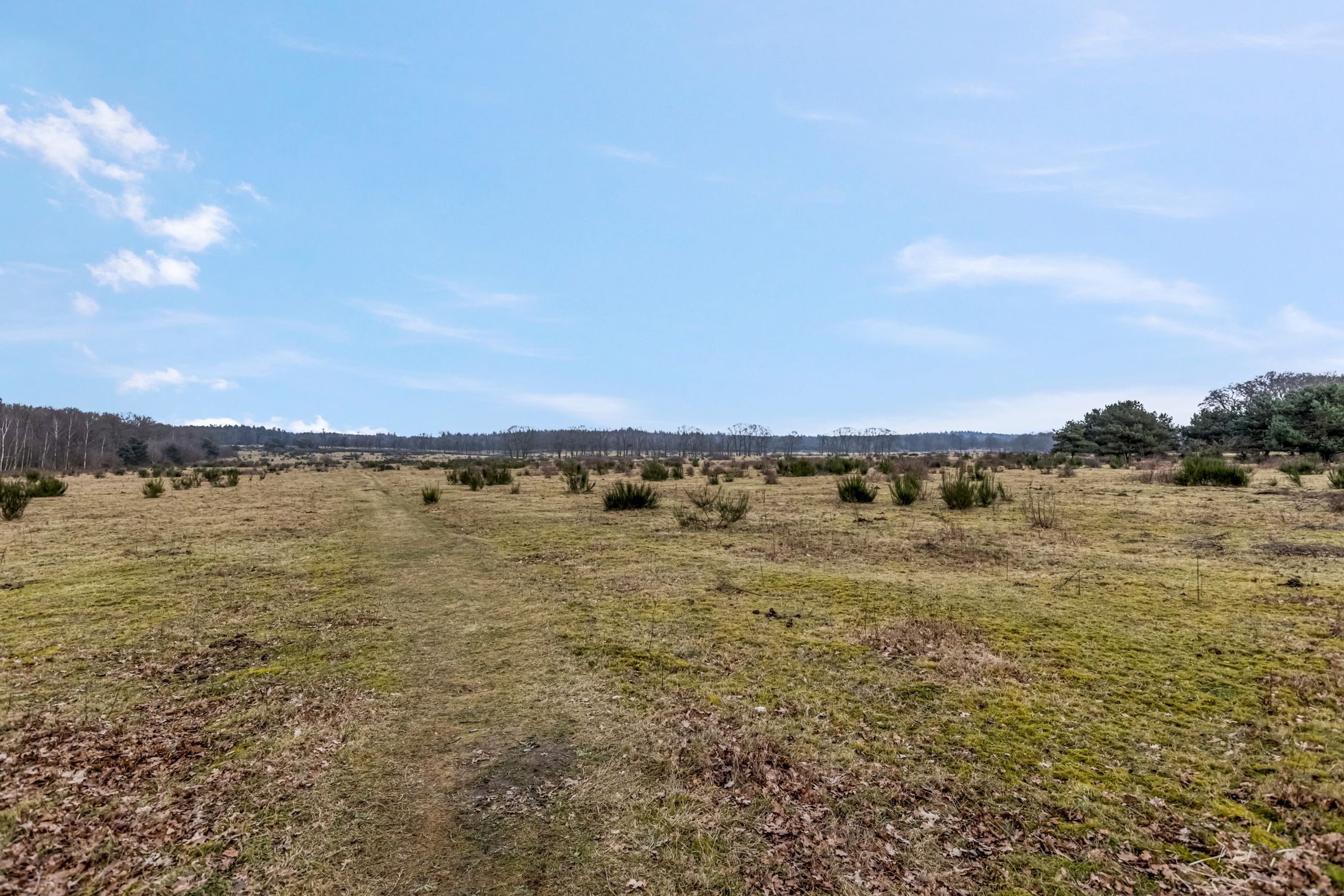 Foto 9 van Zwijnsbergen 27