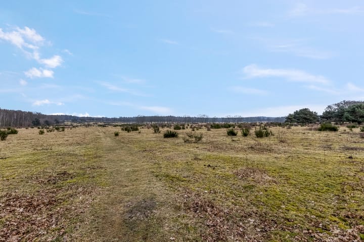 Foto 9 van Zwijnsbergen 27