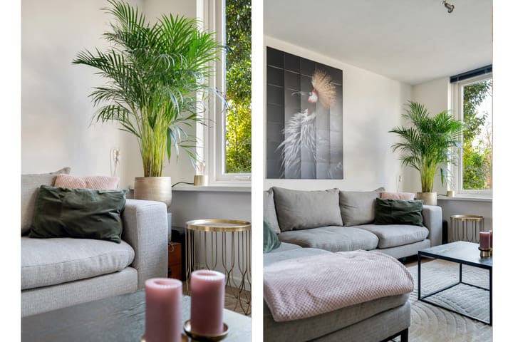 Foto 3 van Sikkelveld 11