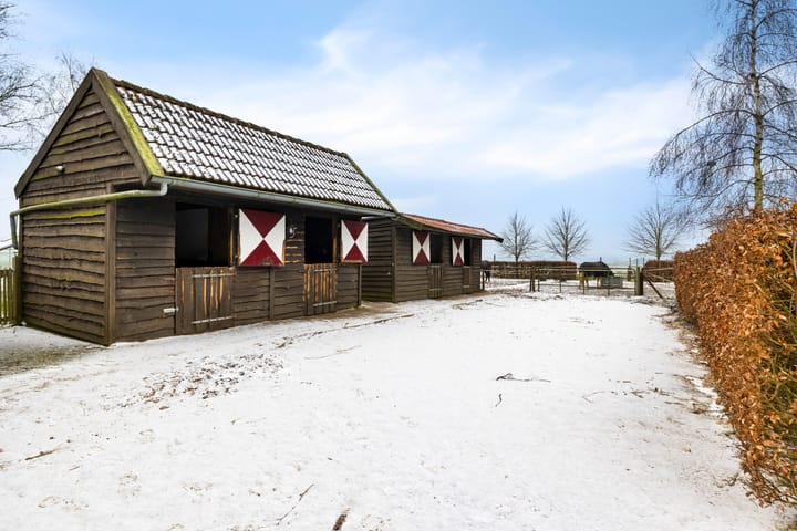 Foto 34 van Siepelveenwijk ZZ 19