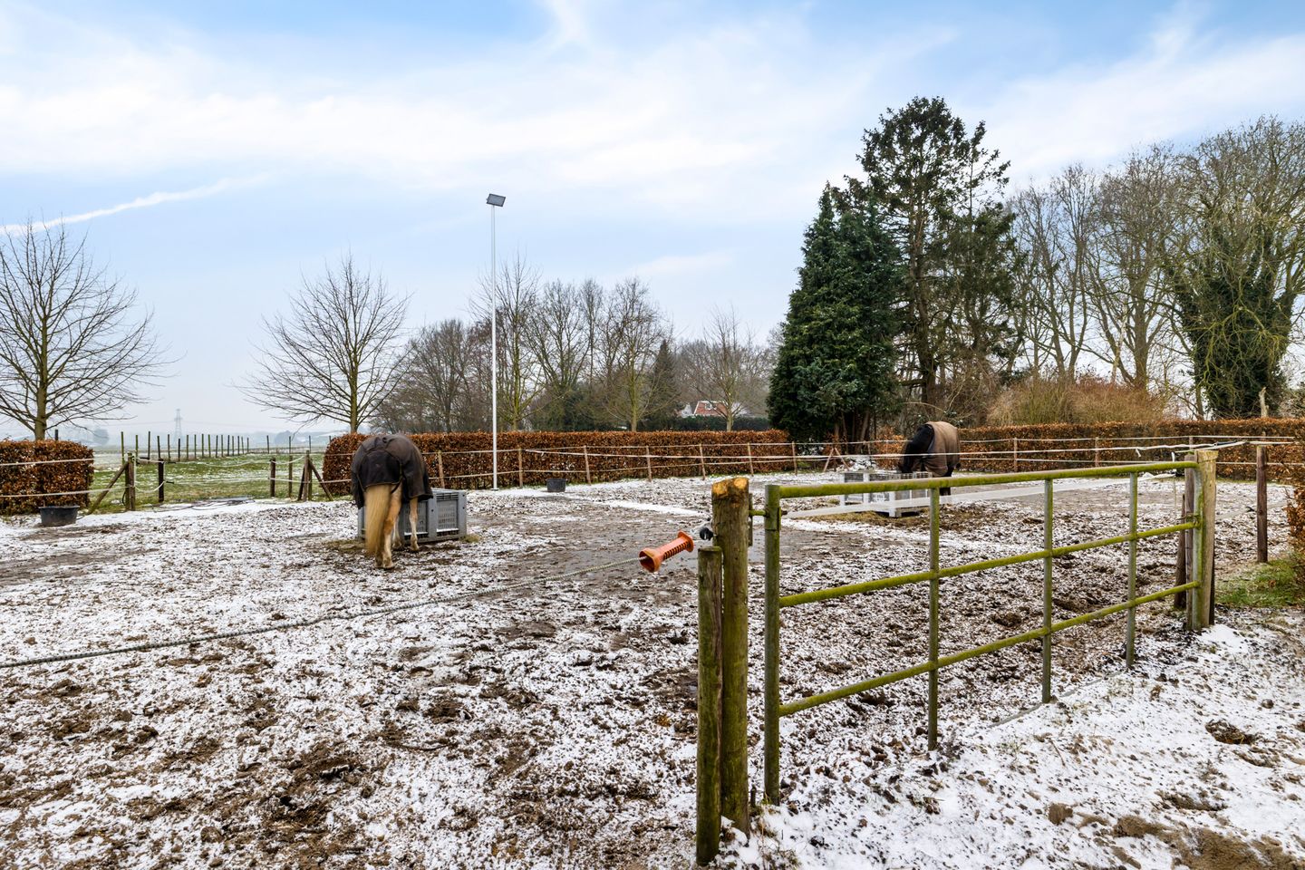 Foto 35 van Siepelveenwijk ZZ 19