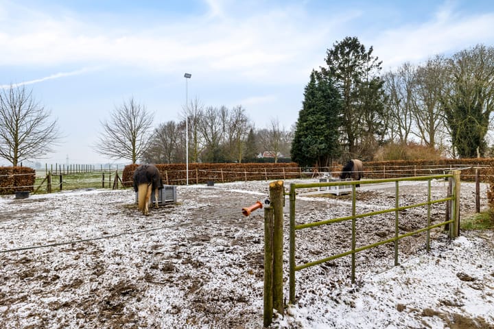 Foto 35 van Siepelveenwijk ZZ 19