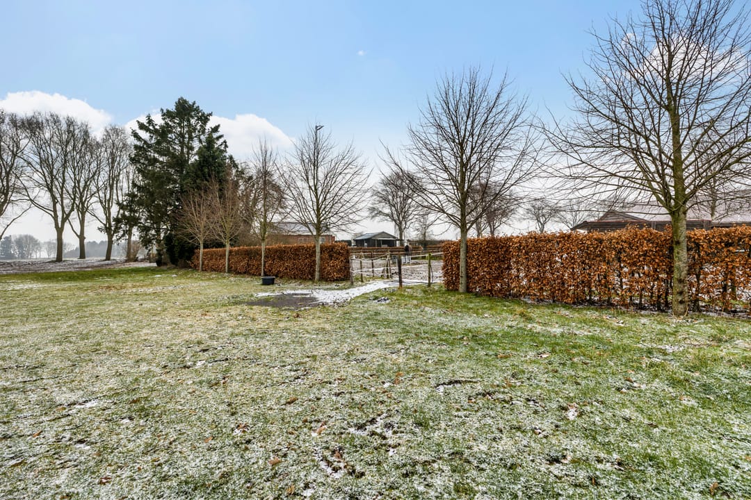 Foto 38 van Siepelveenwijk ZZ 19