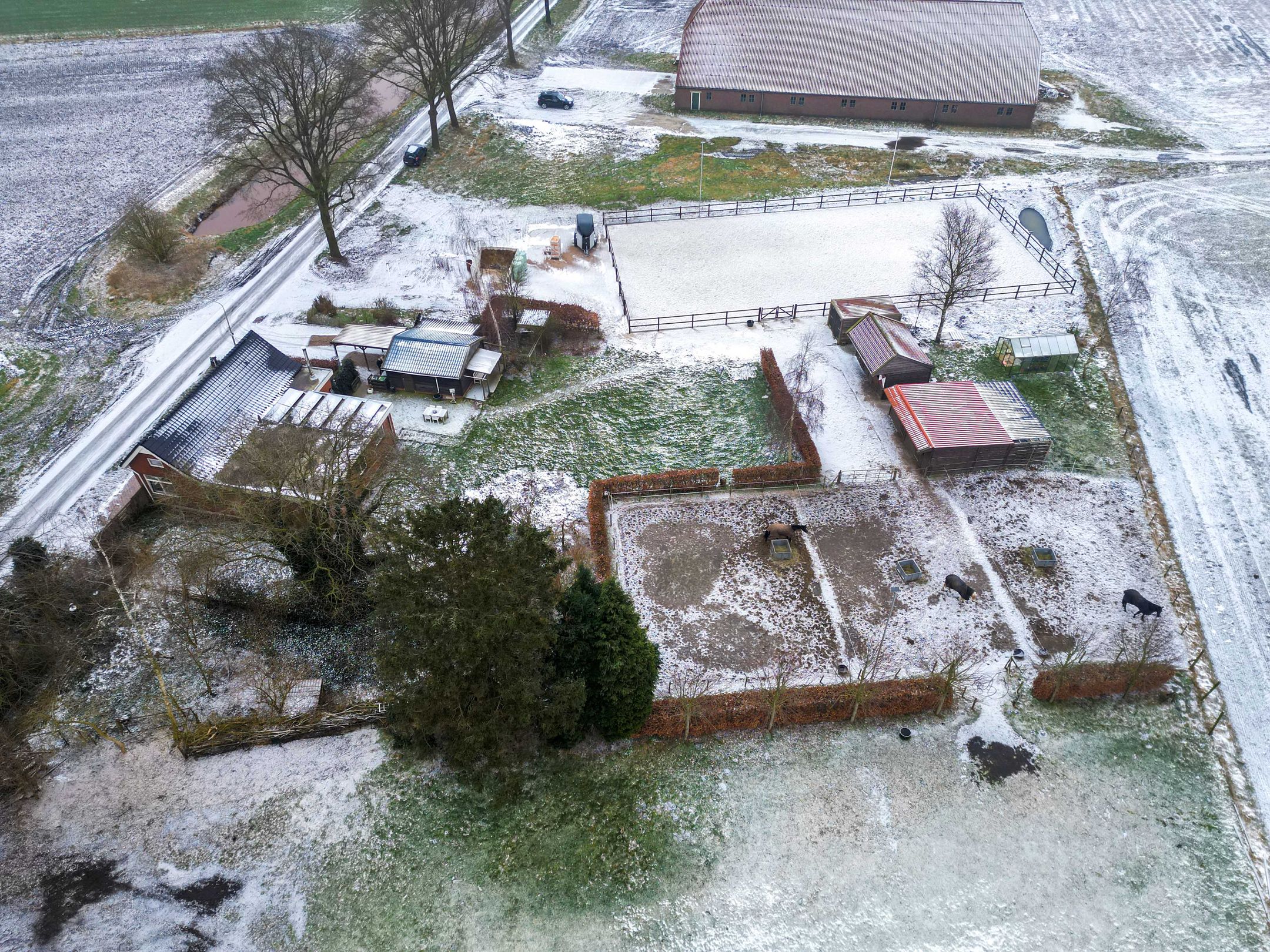 Foto 42 van Siepelveenwijk ZZ 19