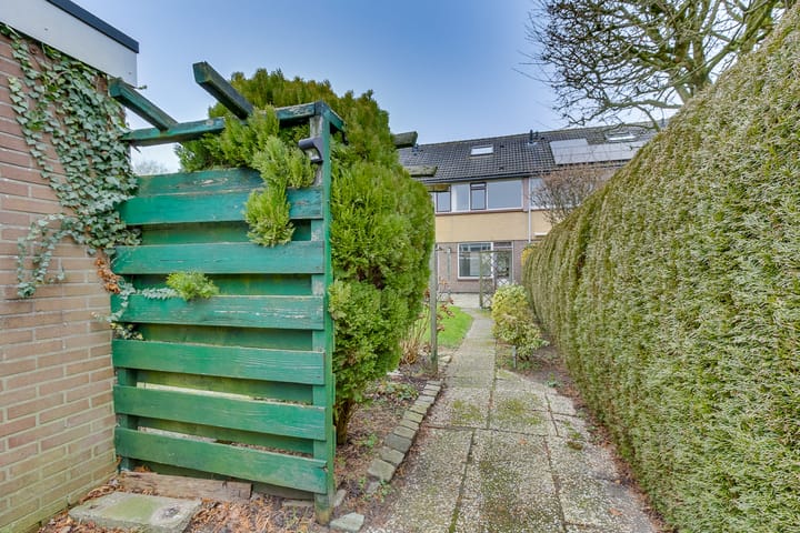 Foto 24 van Zegge 24