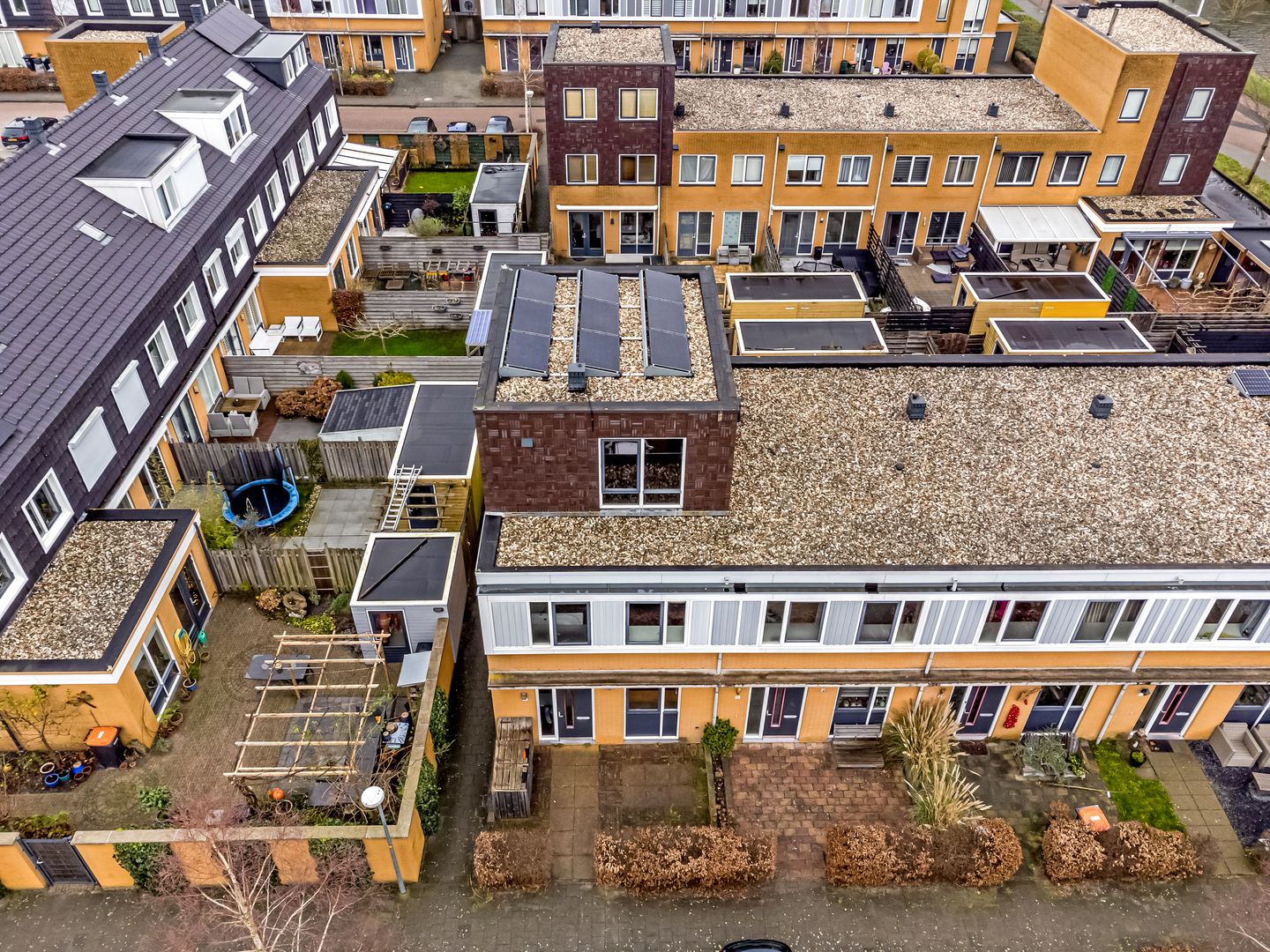 Foto 5 van Reukgras 12