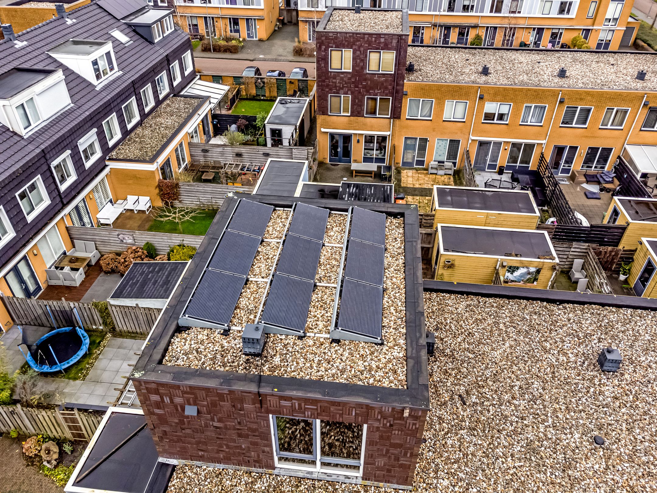 Foto 12 van Reukgras 12