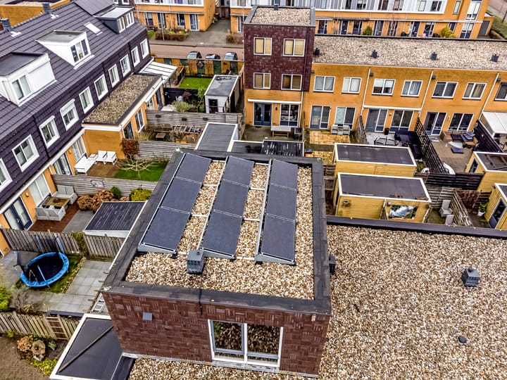 Foto 12 van Reukgras 12