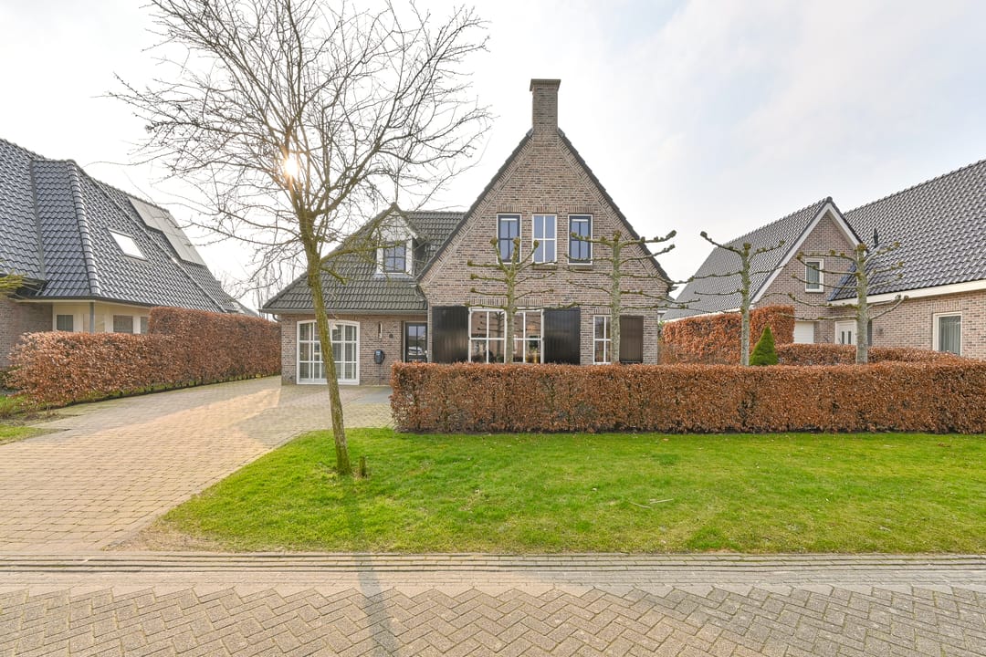 Foto 1 van Vuurvlinder 6