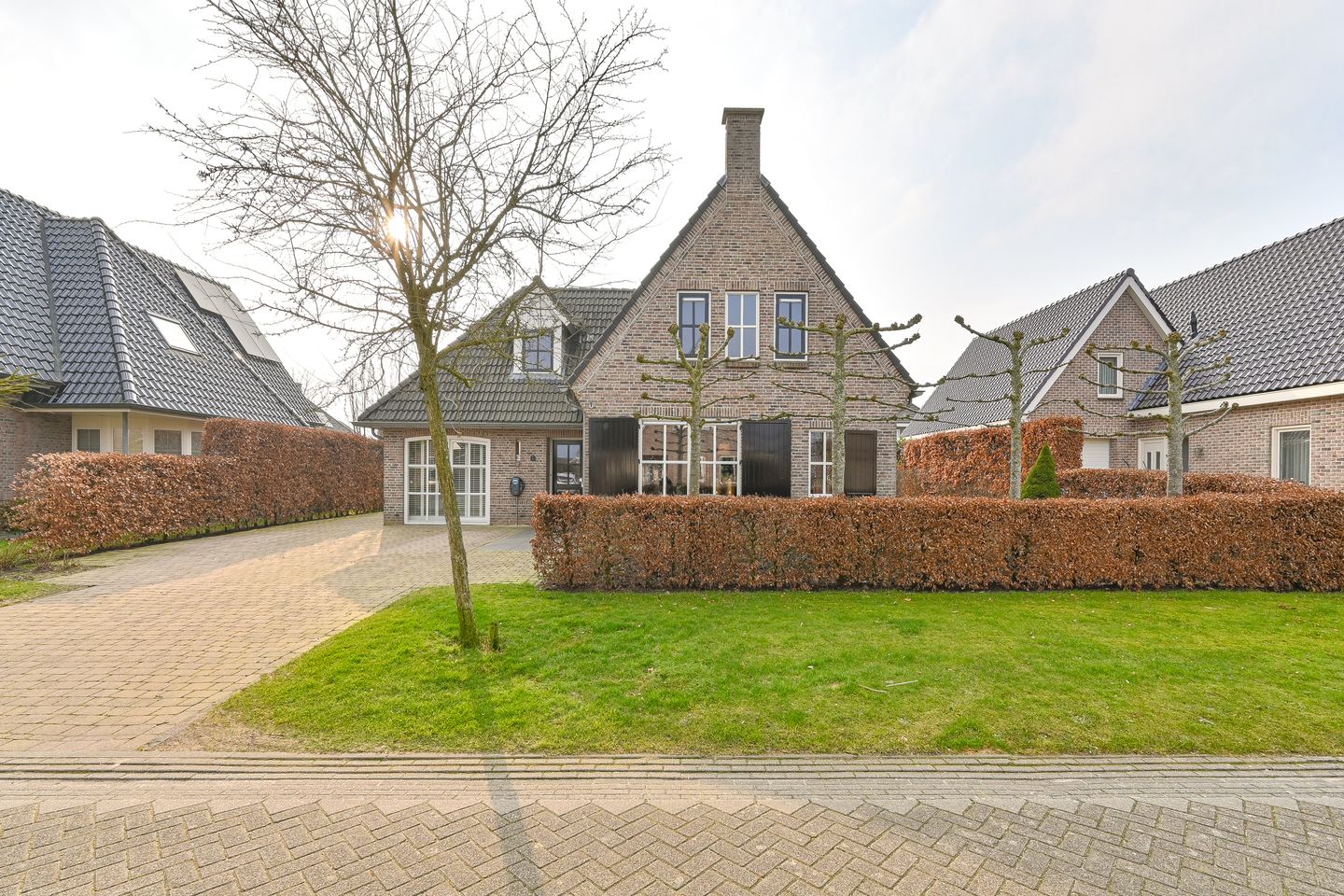 Foto 1 van Vuurvlinder 6