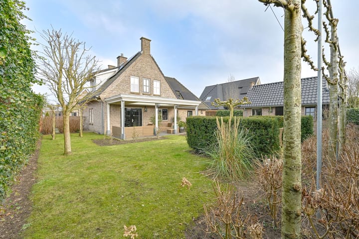 Foto 4 van Vuurvlinder 6