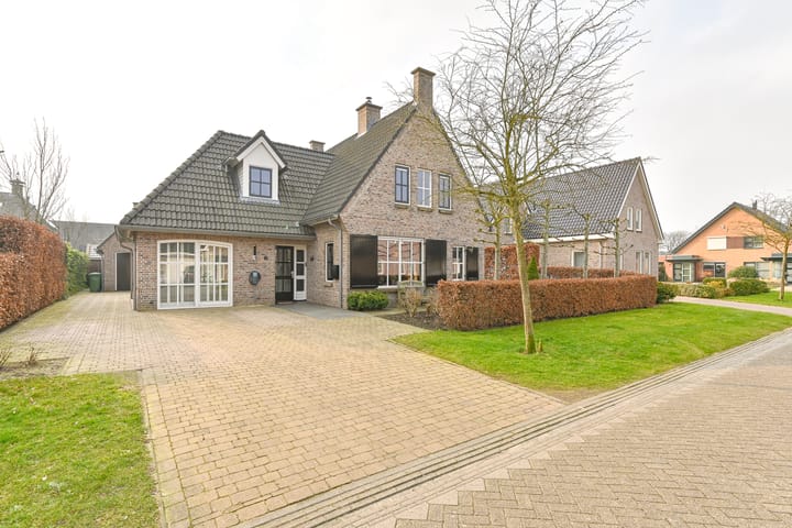 Foto 5 van Vuurvlinder 6