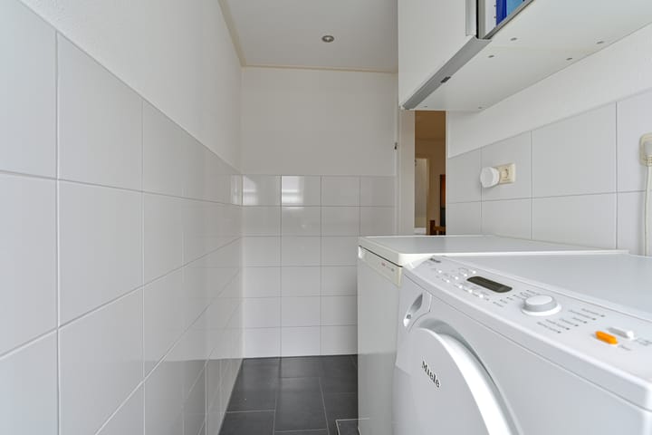 Photo 86 of Vuurvlinder 6