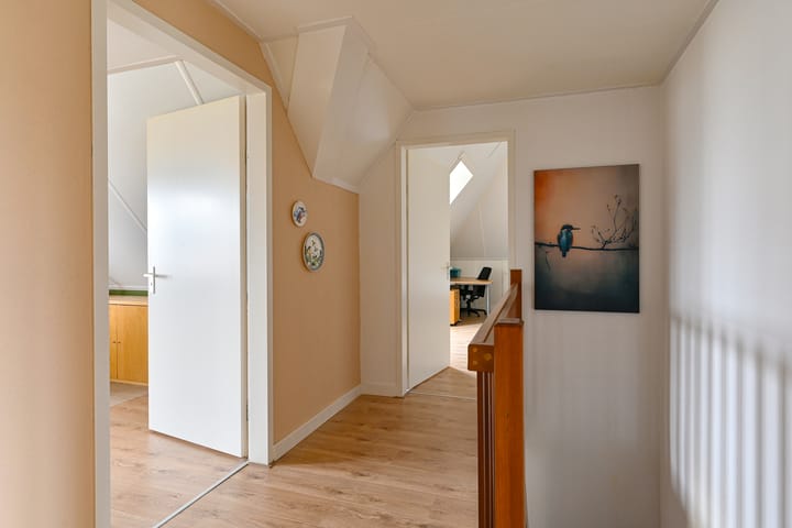 Photo 87 of Vuurvlinder 6