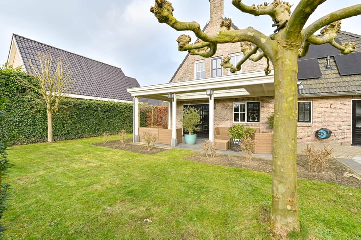 Photo 97 of Vuurvlinder 6