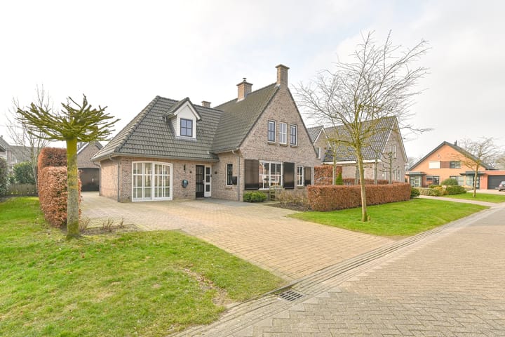 Photo 107 of Vuurvlinder 6