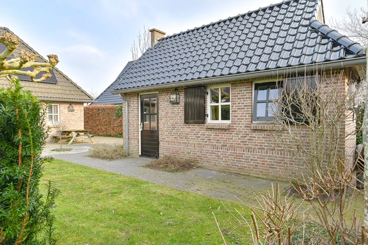 Photo 111 of Vuurvlinder 6