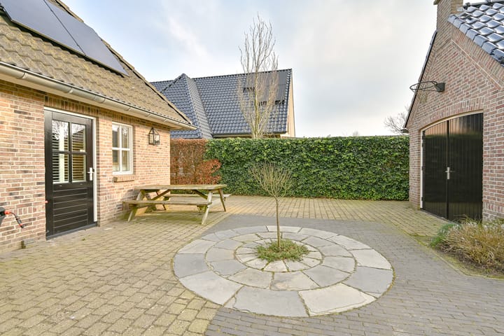 Photo 114 of Vuurvlinder 6