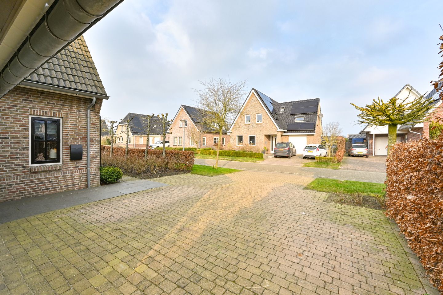 Foto 115 van Vuurvlinder 6