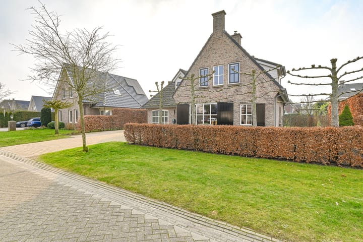 Photo 116 of Vuurvlinder 6