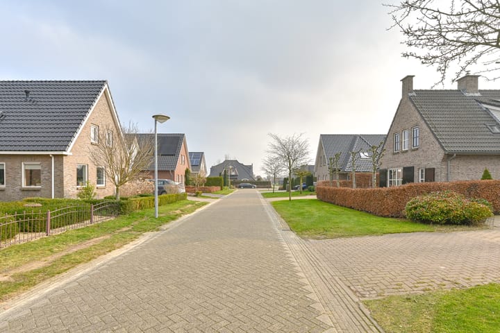 Photo 117 of Vuurvlinder 6