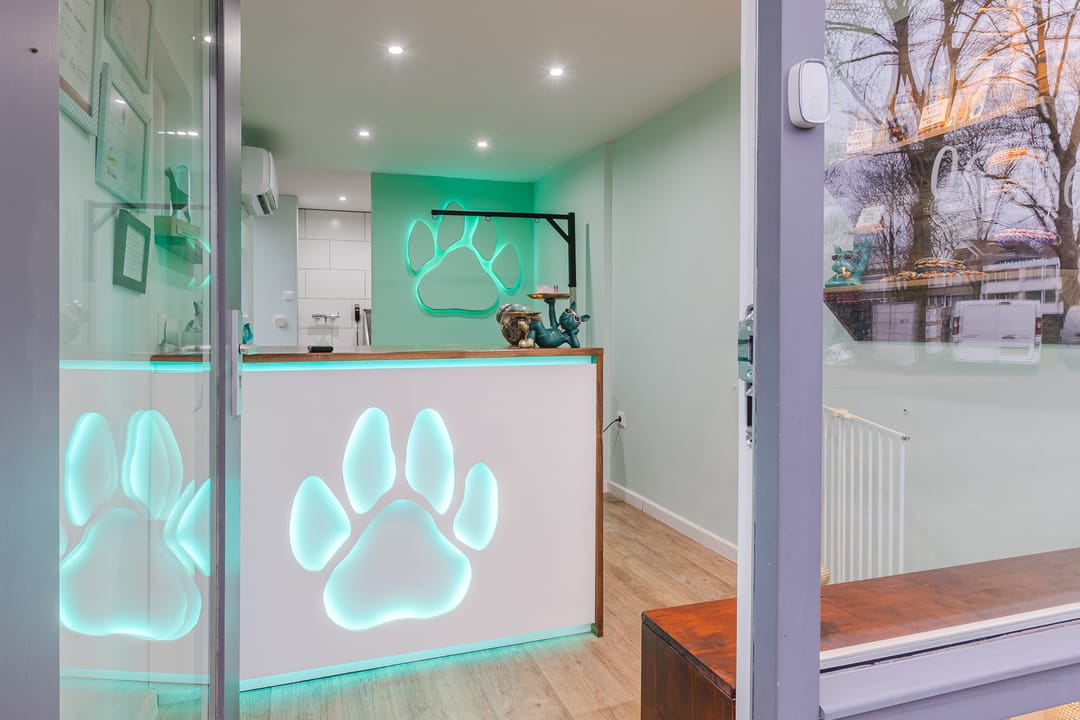 Foto 43 van Bruno Renardstraat 19