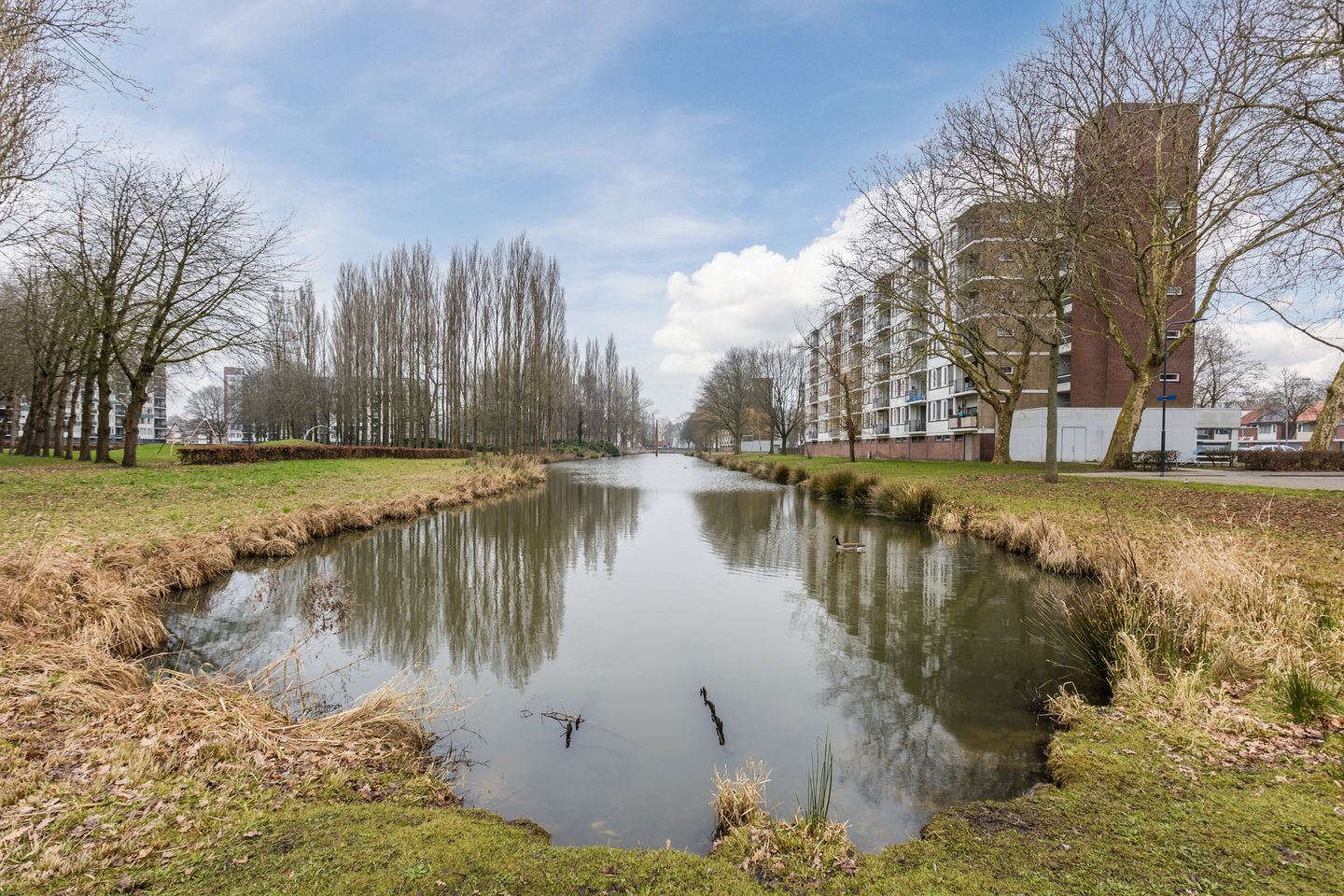 Foto 50 van Bruno Renardstraat 19