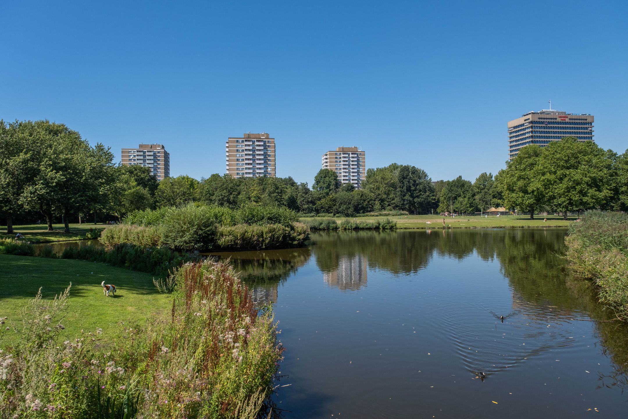 Foto 27 van Alma Tademastraat 90