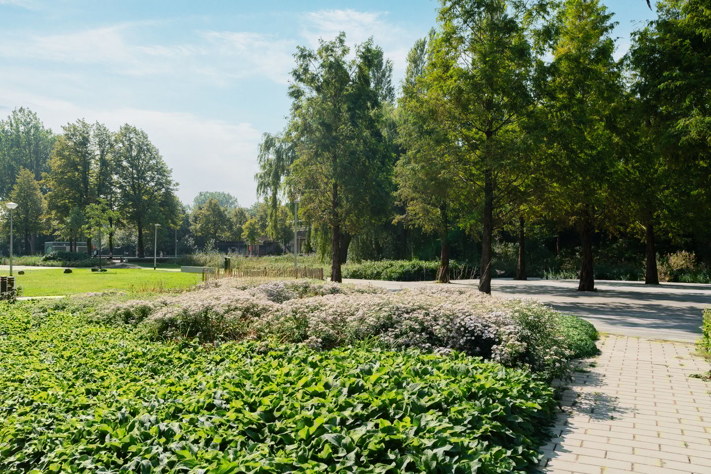 Foto 29 van Alma Tademastraat 90