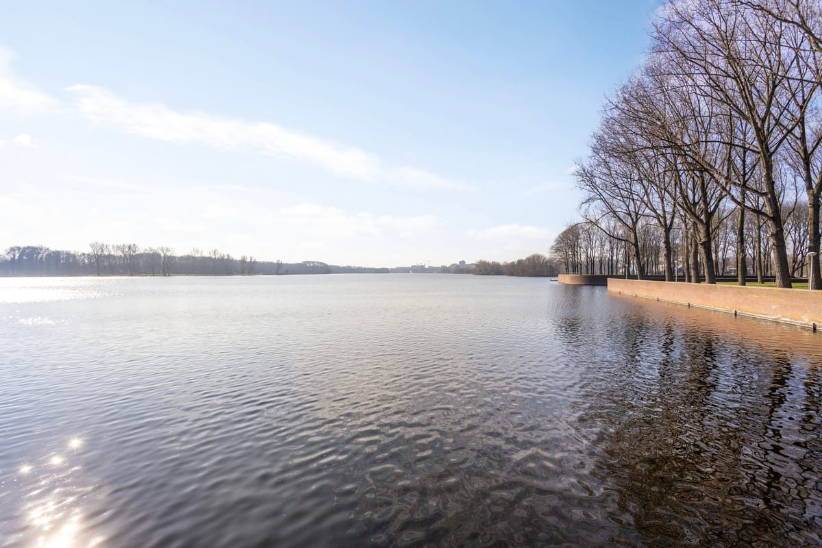 Foto 3 van Burgemeester Hogguerstraat 501