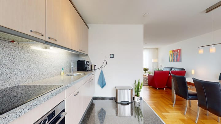 Foto 13 van Ringoven 12