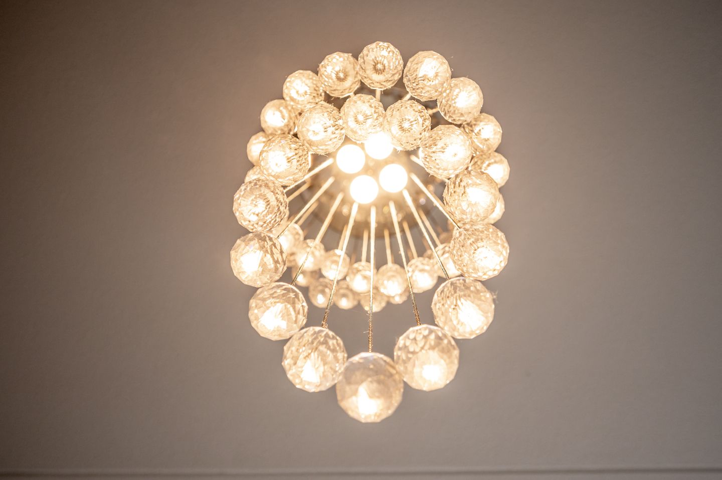 Foto 10 van Dolfijnpad 4