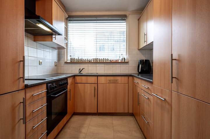 Foto 11 van Dolfijnpad 4