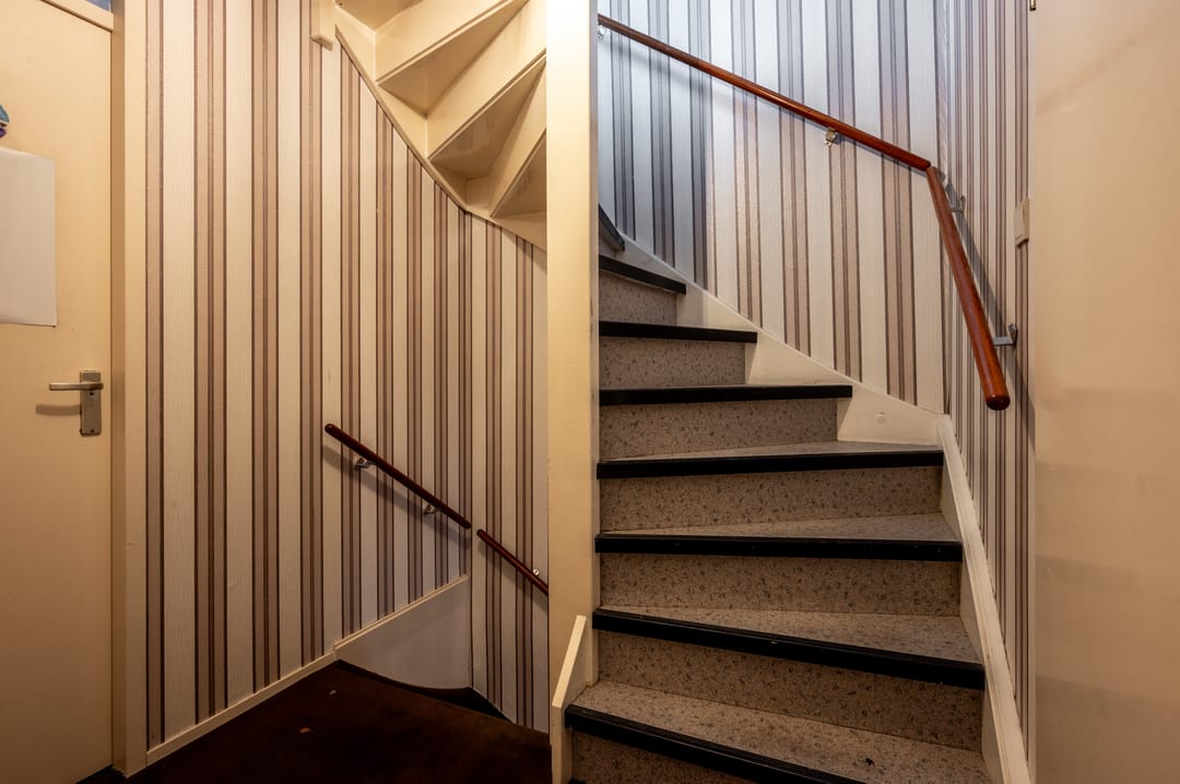 Foto 17 van Dolfijnpad 4