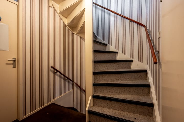 Foto 17 van Dolfijnpad 4