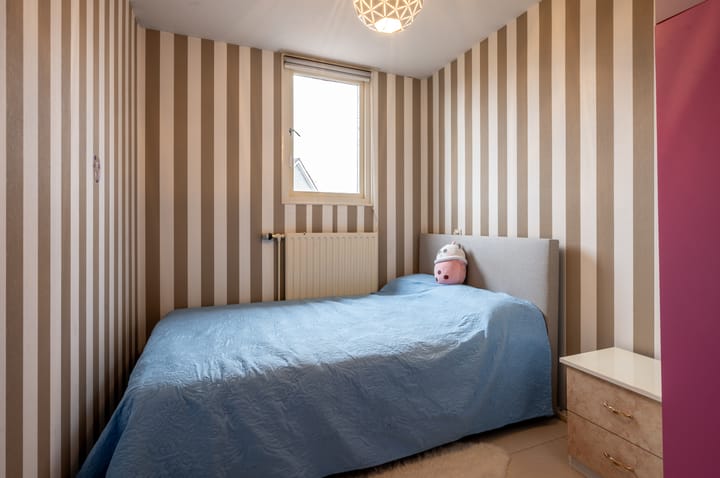 Foto 18 van Dolfijnpad 4