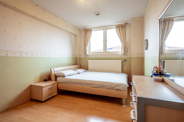 Foto 20 van Dolfijnpad 4