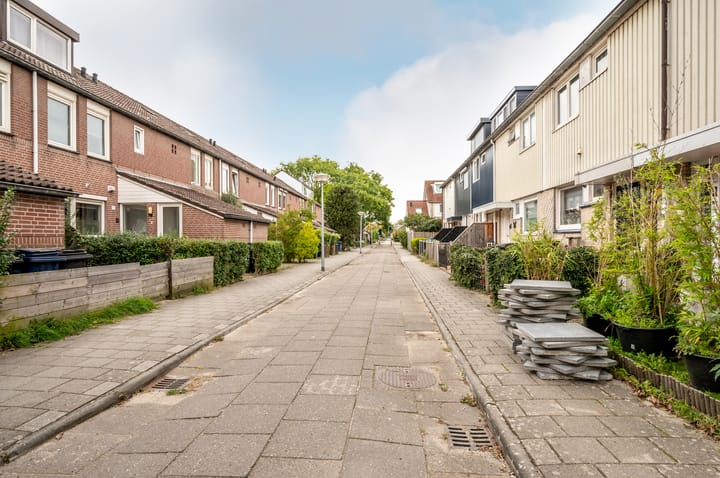 Foto 34 van Dolfijnpad 4